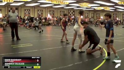 91 lbs Semifinal - David Baghdady, Smitty`s Barn vs Dominick Colaluce, Motion