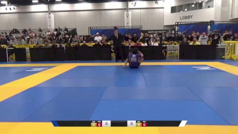 Niyaz Baghirov vs Rodrigo Araujo Rosa De França 2024 World IBJJF Jiu-Jitsu No-Gi Championship