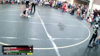 55 lbs Champ. Round 1 - Colton Heriges, Contenders vs Cannon Eckhardt, Mat Monstars