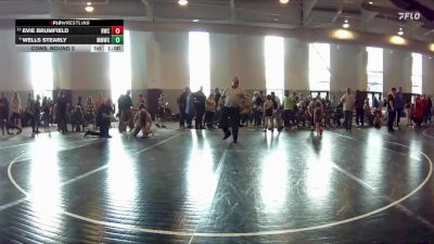 40 lbs Cons. Round 2 - Evie Brumfield, Reaper Wrestling Club vs Wells Stearly, Midlothian Miners Wrestling Club