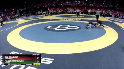 D2-138 lbs Cons. Round 3 - Cal Beadling, Steubenville vs Mason Turnbaugh, Ontario