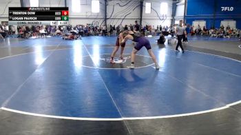 Elite 174 lbs Cons. Round 2 - Logan Pausch, Cornell College vs Trenton Dow, Augsburg College