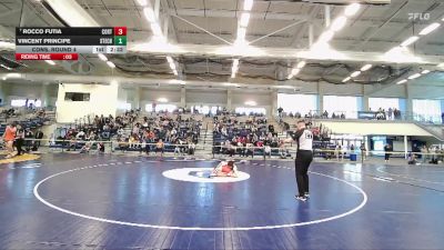 133 lbs Cons. Round 4 - Vincent Principe, Stevens Tech vs Rocco Futia, Cortland State