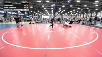 170 lbs Rr Rnd 2 - Logan Ross, Mayo Quanchi Gold vs Henry Downing, Illinois Cornstars