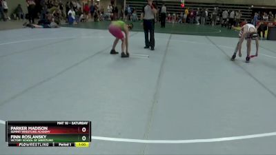 110 lbs Cons. Round 2 - Finn Roslansky, Victory School Of Wrestling vs Parker Madison, Summit Wrestling Academy