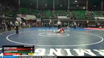 113 lbs Quarterfinal - HAYDEN ADKINS, Deshler vs Cameron Sharp, New Hope HS