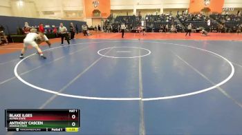 197 lbs Champ. Round 2 - Blake Ilges, Alfred State vs Anthony Cascen, Oswego State