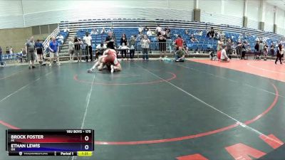 175 lbs Quarterfinal - Brock Foster, MI vs Ethan Lewis, OH