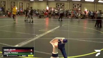 180 lbs Cons. Round 5 - Colby Celuck, Mat Assassins vs Michael Fuccilli, Olympic