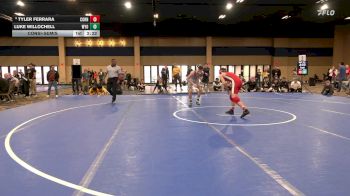 133 lbs Consolation - Tyler Ferrara, Cornell vs Luke Willochell, Wyoming