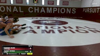 141 lbs Quarterfinal - Tanner Arjes, Upper Iowa vs Mateo Ochoa, Luther