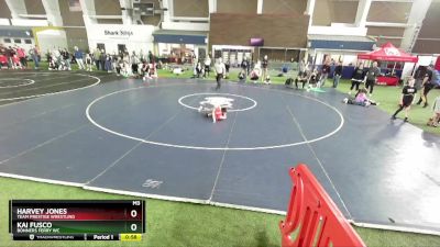 43 lbs Quarterfinal - Kai Fusco, Bonners Ferry WC vs Harvey Jones, Team Prestige Wrestling