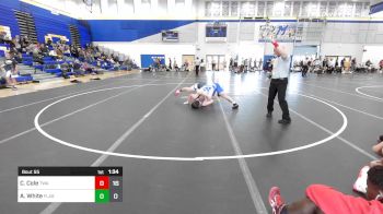 175 lbs Rr Rnd 5 - Chance Cole, Thoroughbred Wrestling Academy vs Aidan White, Team Flash