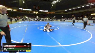 113 lbs 1st Place Match - Gavin Palace, Payson vs Cannon Farrar, Gila Ridge High School