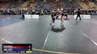 143 lbs Quarters & 1st Wb (16 Team) - Zoey Lints, Elmira College vs Lili Ujfalvi, Gannon University