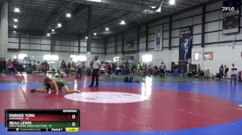 150 lbs Semifinal - Parker York, Darkhorse vs Beau Lewis, Great Bridge Wrestling Club