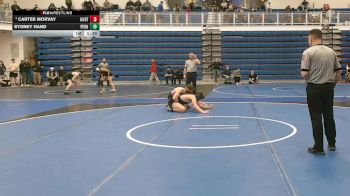 172 lbs Quarterfinal - Carter Morvay, North Hills vs Sydney Hand, Penn-Trafford