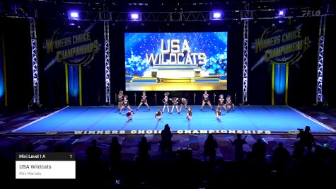 USA Wildcats - Mini Marvels [2025 Mini Level 1 A 1] 2025 Winners Choice Live at Foxwoods