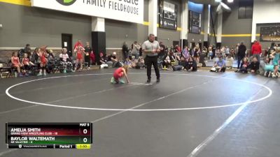 65 lbs Round 2 (4 Team) - Amelia Smith, Grand View Wrestling Club vs Baylor Waltemath, NE Valkyrie