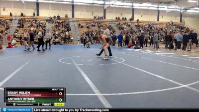 149 lbs Quarterfinal - Brady Holien, Ridgewater Community College vs Anthony Bitner, Triton Community College