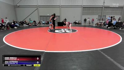 120 lbs Round 2 (8 Team) - Andi Bibeau, Pennsylvania Red vs Zao Estrada, South Carolina