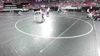 D1-150 lbs Champ. Round 1 - Cameron Finch, Tomah vs Gabriel Metzler, Waunakee