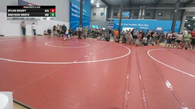 91 lbs Round Of 16 - Dylan Dickey, Butler vs Greyson Wertz, New Bloomfield
