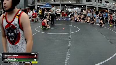 80 lbs Round 6 (8 Team) - Mason Reis, Buffalo Valley WC vs RJ Udle, Hammers Yellow