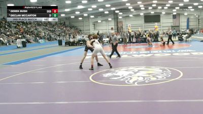 4 - 120 lbs 3rd Place Match - Derek Bush, Salem (Salem) vs Declan Mccarton, Eastern View