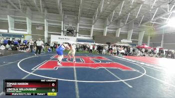 285 lbs Champ. Round 2 - Tomasi Hasson, Davis vs Lincoln Willoughby, Pleasant Grove