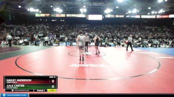 G 145 lbs Cons. Round 2 - Hailey Anderson, Rigby Girls vs Cale Carter, Malad Girls