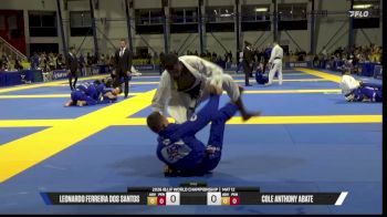 Leonardo Santos vs Cole Abate 2026 World Jiu-Jitsu IBJJF Championship