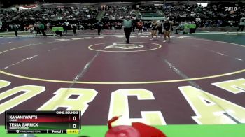 107 lbs Cons. Round 3 - Tessa Garrick, Baker/Powder vs Kanani Watts, Eagle