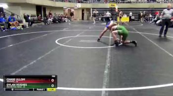 195 lbs Semis & 1st Wrestleback (8 Team) - Chase Ullom, Wayzata vs Dylan Hughes, Rochester Mayo