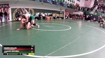 190 lbs Quarterfinal - Connor Sintobin, Delta vs Haiden Bollini, Perkins (Sandusky)