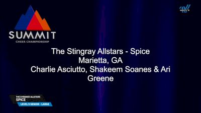 The Stingray Allstars - Marietta - Spice [2025 L5 Senior - Large Finals] 2025 The Summit