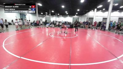 80 lbs Bradley Alarid, Colorado vs Dino Neglia, New York Blue