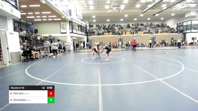 141 lbs Round Of 16 - Anthony Ferraro, Edinboro vs Andre Gonzales, Ohio State