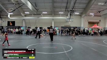 45 lbs Semifinal - Brockton Small, Rampage vs Chiyevante Washington, Smwp