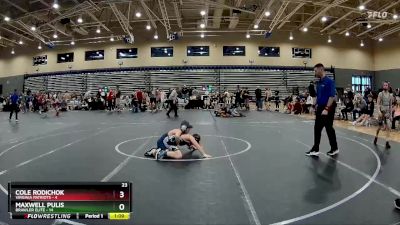 92 lbs Round 3 (8 Team) - Cole Rodichok, Virginia Patriots vs Maxwell Pulis, Brawler Elite