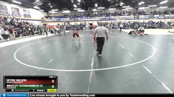 184 lbs Champ. Round 1 - Bentley Schwanebeck-Ostermann, Augsburg vs Spyre Nelson, Pacific University
