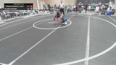 113 lbs Consi Of 8 #1 - PrinceToddrick Cruz, EL Paso Sundevils vs Elham Hashimi, Tri Valley Elite