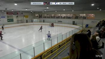 Replay: Home - 2024 Cougars U18 AAA vs Interlake U18 AAA | Jan 28 @ 1 PM