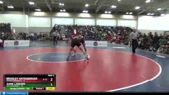 197 lbs Semis & 3rd Wb (16 Team) - Bradley Antesberger, Doane University vs Zane Lanham, Life University