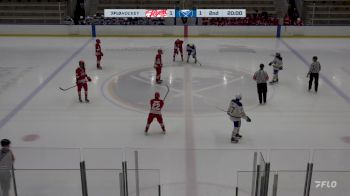 Replay: Home - 2025 Leamington vs Sabres | Mar 25 @ 6 PM
