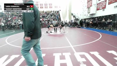 132 lbs Quarterfinal - Jaida O'Driscoll, Westfield vs Marley Heinstrom, Northeast Metro Tech/Bishop Fenwick
