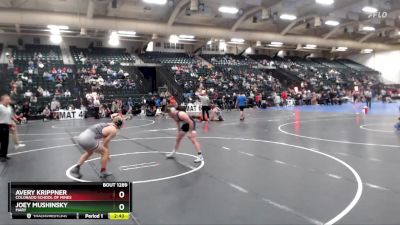 184 lbs Cons. Round 3 - Joey Mushinsky, Mary vs Avery Krippner, Colorado School Of Mines