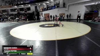 165 lbs Quarterfinal - Sevriano Garza, Ashland vs Thomas Potter, Lake Erie