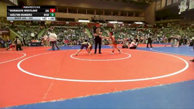 100 lbs Round 2 - Aizlynn Romero, Mountain View Stingers Wrestling vs NoraKate Westlake, Spartan Wrestling Academy