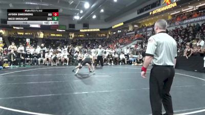 113 lbs Finals (1st & 3rd) - Nico Desalvo, Southeast Polk vs Ayden Swedberg, Indianola